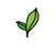 DreamSpring_ICON_Sprout_glow